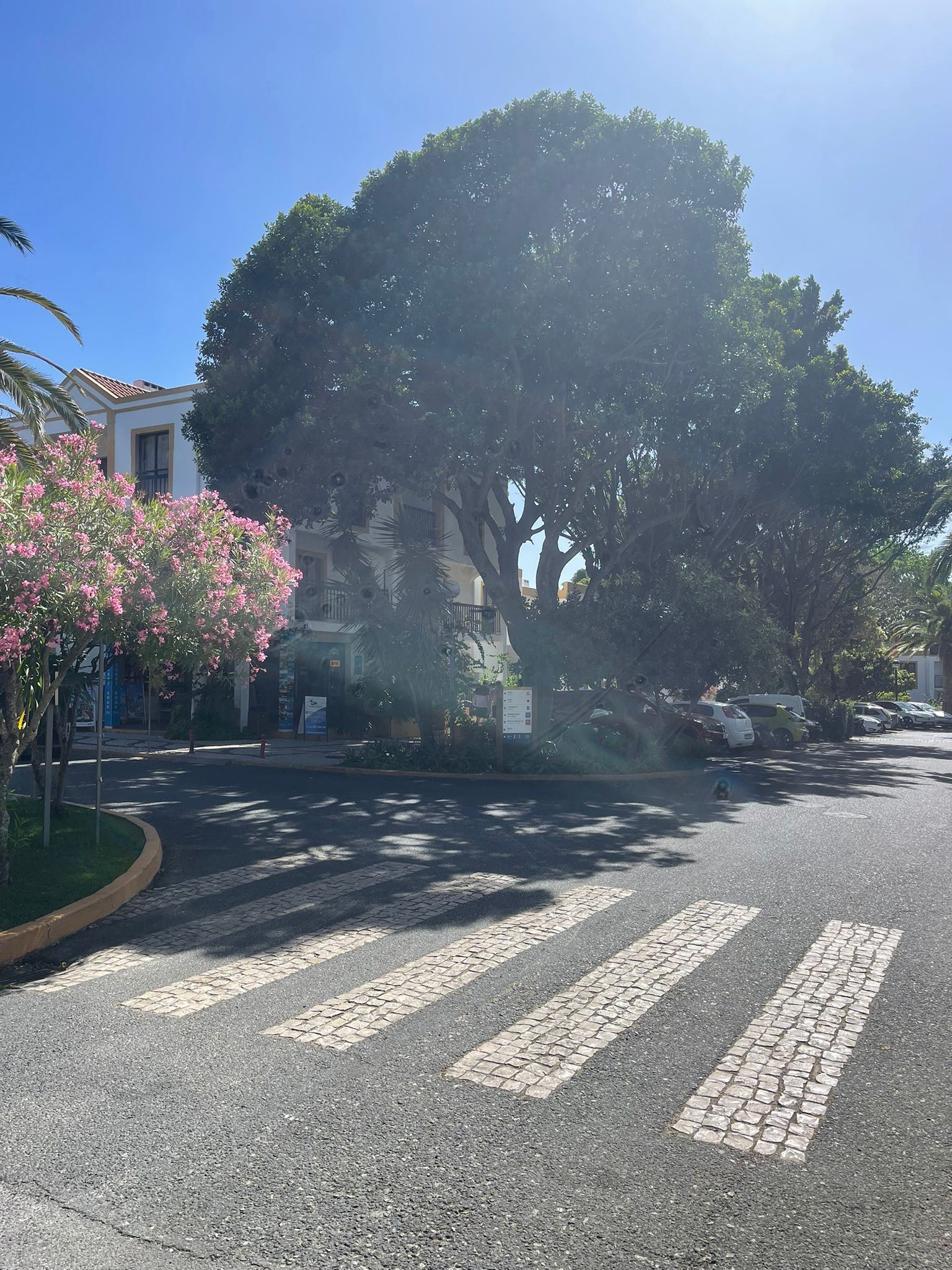 Aldeamento Alfagar — the village around the concierge desk